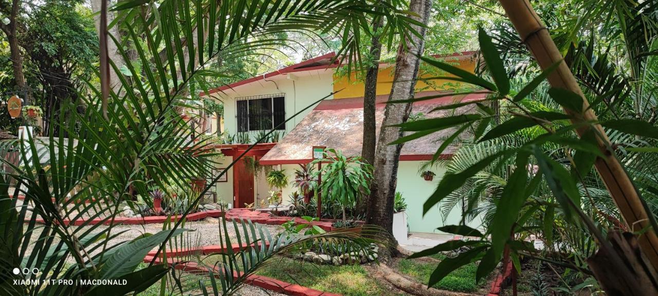 Casa Hadassa La Canada Palenque Ngoại thất bức ảnh