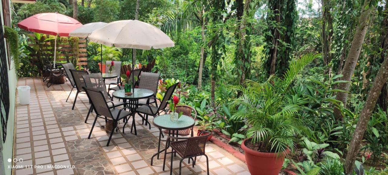 Casa Hadassa La Canada Palenque Ngoại thất bức ảnh