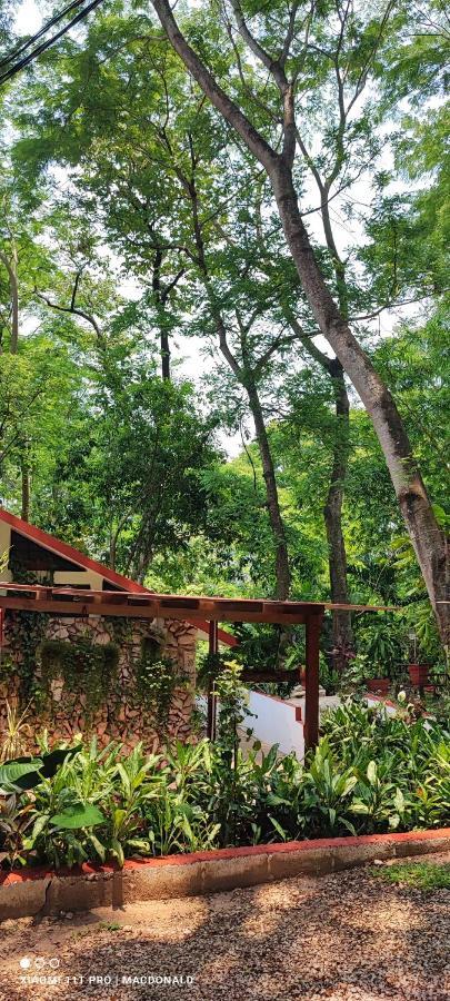 Casa Hadassa La Canada Palenque Ngoại thất bức ảnh